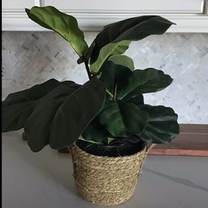 Faux Fiddle Leaf In Basket